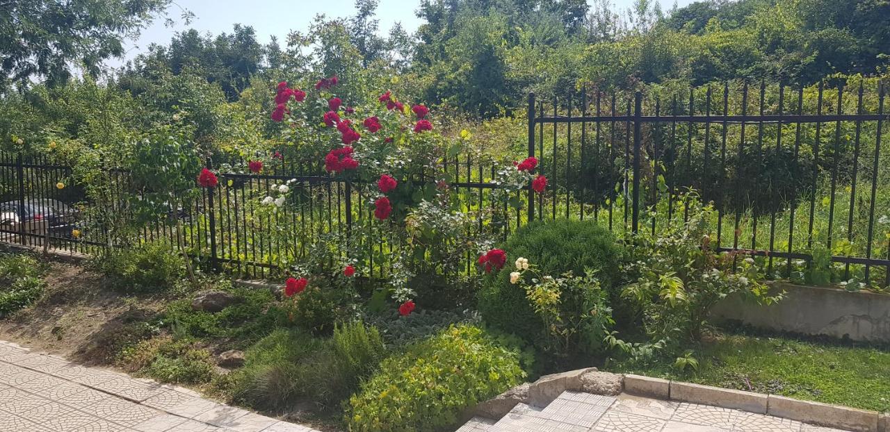 Harmony Hills Kolevi Apartments Rogachevo Dış mekan fotoğraf